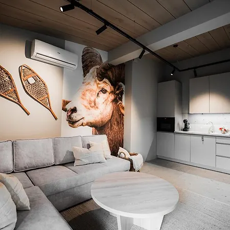 Apartman Modrzejewska *
