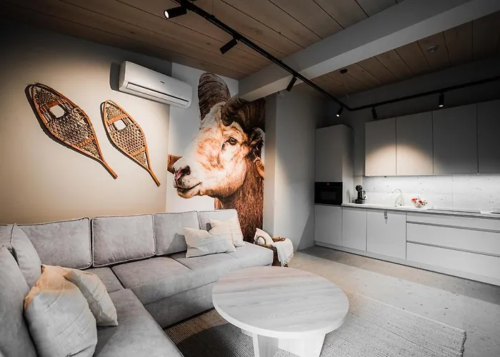 Appartement Modrzejewska *